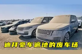 探访迪拜最大废车场，豪车遍地都是，我羡慕了！视频封面