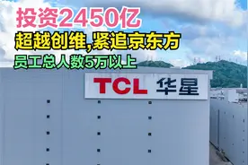 航拍：投资2450亿，超越创维，紧追京东方，员工总人数5万以上视频封面