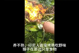 小猴子养不熟怎么办，那就烤熟，猴只是他们的食物偶尔兼职宠物视频封面