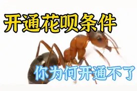 救急时借钱不用看脸色，支付宝花呗轻松借钱视频封面