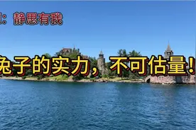 静思有我，泱泱大国，岂容他人放肆！#5478视频封面