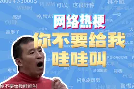 【网梗课代表】你不要给我哇哇叫是什么梗？视频封面