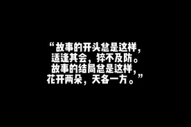 《从你的全世界路过》文案摘抄视频封面