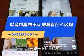 抖音拉黑跟不让他看有什么区别  互相关注也能设置不让他看吗？视频封面