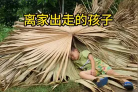 父亲偏心捡回来的宝宝，亲生儿子一气之下离家出走，记录解说视频封面