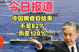 中国粮食自给率，不是82%，而是120%视频封面
