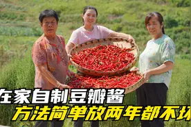 豆瓣酱不用出去买了，手把手教你在家做，做法简单放两年都不会坏视频封面