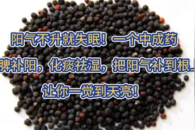 阳气不升就失眠！一个中成药，把阳气补到根上，让你一觉到天亮！视频封面