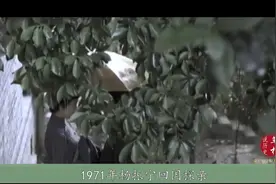 1971年杨振宁回国探亲，称杜聿明“杜先生”，周总理为何迅速纠正视频封面