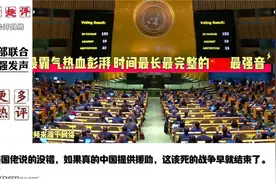 国外网友看东大外交部联合国大会最强发声