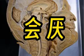 会厌-人体很小很重要并且常被忽略的器官视频封面