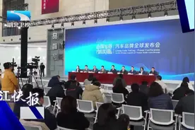 购买多款“武汉造”汽车可享叠加补贴 最高6000元视频封面