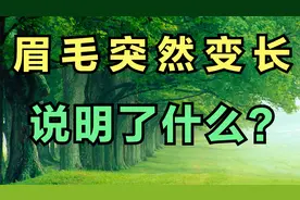 老话说得好，眉长有福！50岁后眉毛疯长，其实是身体在说话。