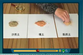 科学4年级下册，2.沙质土、黏质土和壤土（含下载链接）