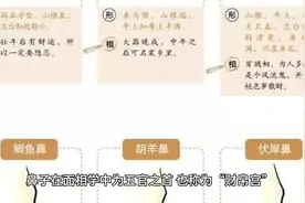 五种鼻型看一生富穷，你的鼻子是哪种类型？这是什么命？视频封面