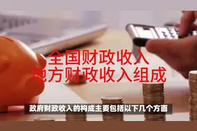 全国财政收入和地方财政收入组成@经济观察报视频封面