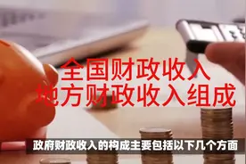 全国财政收入和地方财政收入组成@经济观察报视频封面