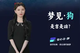 梦见狗，是不是好梦？现代版《周公解梦》带你寻找梦境中的困惑。视频封面
