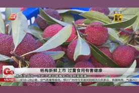 杨梅新鲜上市 过量食用有害健康视频封面