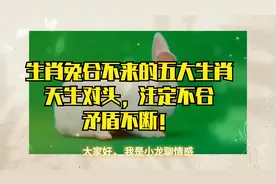 生肖兔合不来的四大生肖，难以融合，难以相处，矛盾冲突不断视频封面