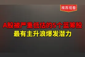 5家蓝筹股，上市公司的基本信息解读视频封面