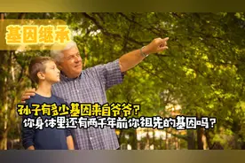 孙子有多少基因来自爷爷？你身体里还有2000年前你祖先的基因吗？视频封面