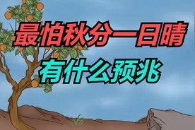 “最怕秋分一日晴”，9月22日秋分，晴天有什么预兆？看农谚咋说视频封面