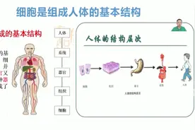 鳞状上皮细胞是什么？视频封面