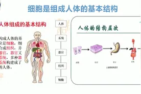 鳞状上皮细胞是什么？视频封面