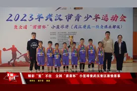 精彩“篮”不住   全国“苗苗杯”小篮球赛武汉赛区激情落幕视频封面