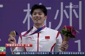 中国游泳队的全能人才：汪顺视频封面