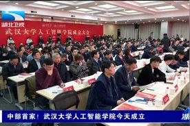 中部首家！武汉大学人工智能学院今天成立视频封面