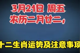 3月21日 周五 农历二月廿二，十二生肖运势及注意事项视频封面