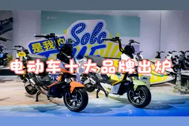 电动车十大品牌出炉，雅迪、爱玛、新日位列前3名，有什么优势？视频封面