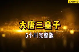 大唐三皇子视频封面