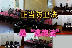 第二十条：正当防卫法是逃跑法，看徐昕大律师的精彩发言