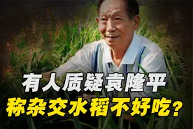 袁隆平去世后遭到质疑，称杂交水稻的成果被夸大，实际上很难吃？视频封面
