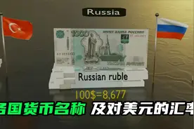 你知道各国使用的货币都叫什么吗，兑换100美元要多少钱呢！！！视频封面