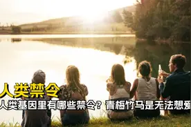 人类基因里有哪些禁令？青梅竹马无发相爱？视频封面