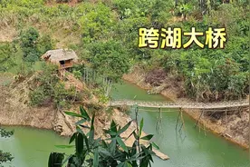 农村姑娘野外修建跨湖大桥，整个建造过程让人惊艳视频封面