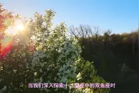 几号出生的双鱼座最傻 几号最聪明视频封面