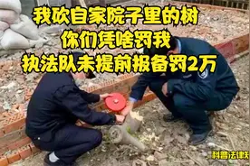 男子我砍自家院子里的树, 你们凭啥罚我 执法队未提前报备, 罚2万