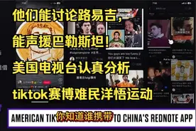 他们能讨论路易吉，能声援巴勒斯坦！德国电视台认真分析tik难民视频封面