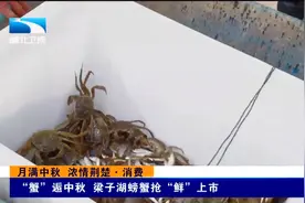 “蟹”逅中秋 梁子湖螃蟹抢“鲜”上市视频封面