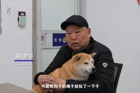 爱犬走丢65天我几欲放弃，派出所帮我找回了它视频封面