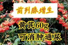 前列腺增生，黄芪60g，可消肿通尿视频封面