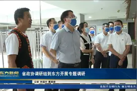 海南省政协调研组到东方开展专题调研视频封面