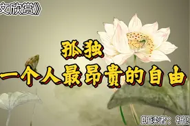 散文欣赏《孤独，是一个人最昂贵的自由》朗读：祈愿视频封面