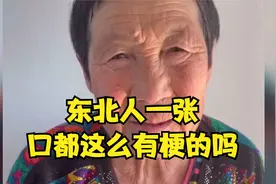东北人自带幽默感我知道，东北人一张口都这么有梗的吗？视频封面