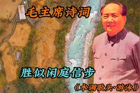 毛主席诗词解读《水调歌头·游泳》，感受伟人气吞山河的胸怀视频封面